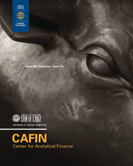 Cafin brochure cover with bull eye on it.